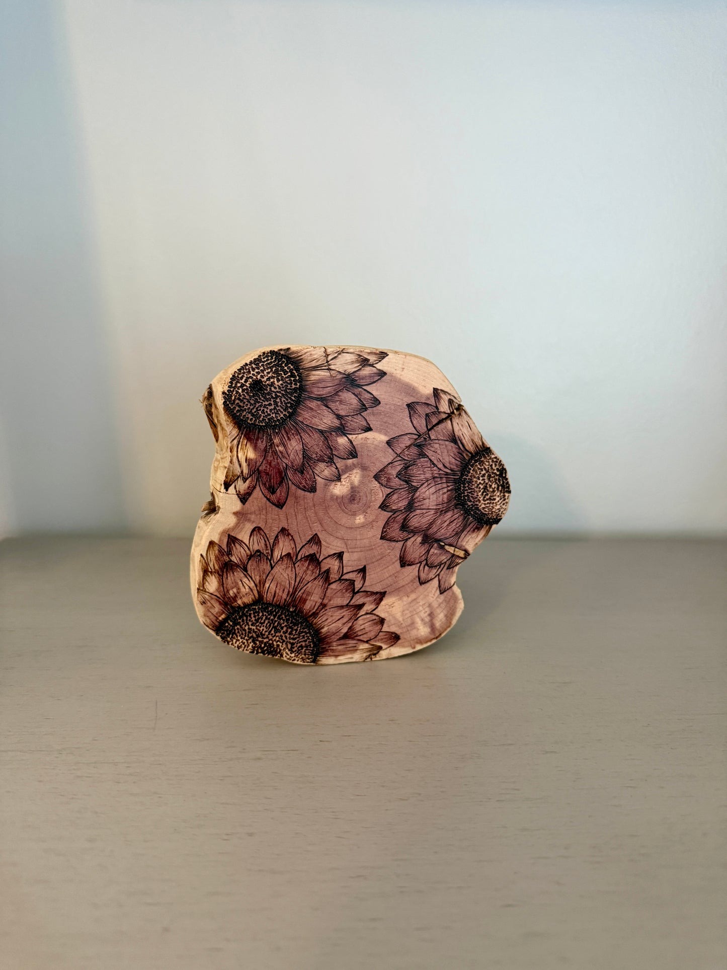 Vibrant Sunflower Round on Cedar Wood