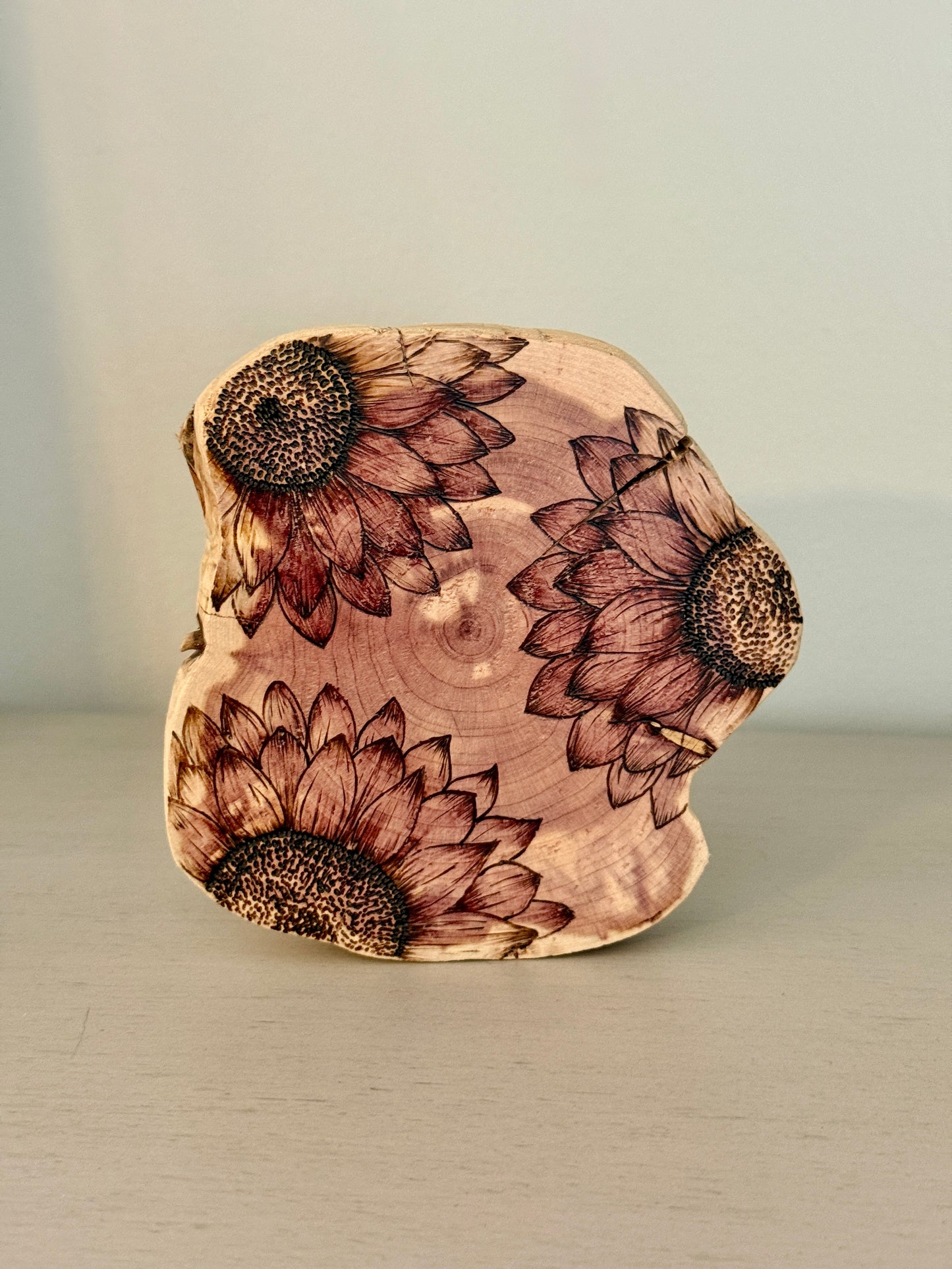 Vibrant Sunflower Round on Cedar Wood