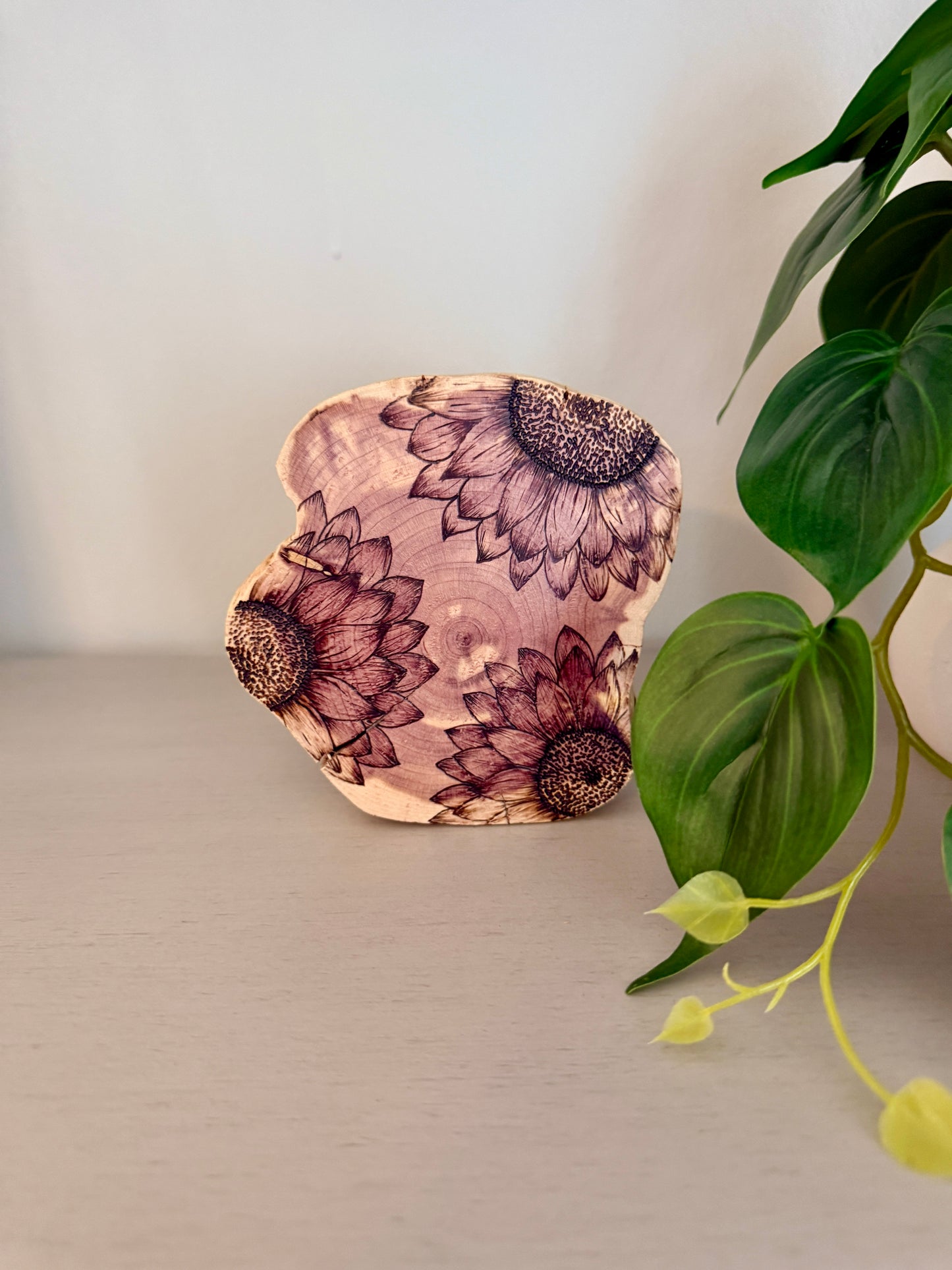 Vibrant Sunflower Round on Cedar Wood