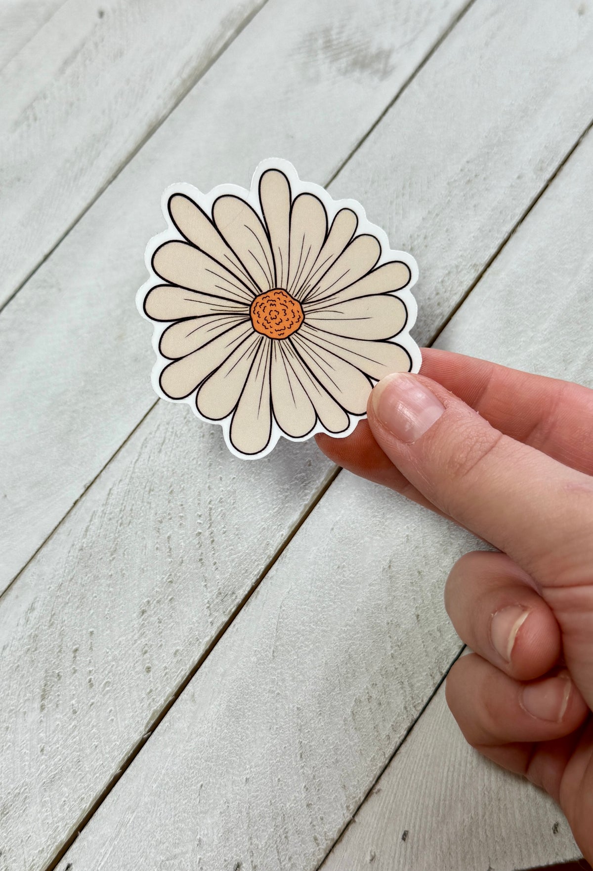White Daisy Sticker