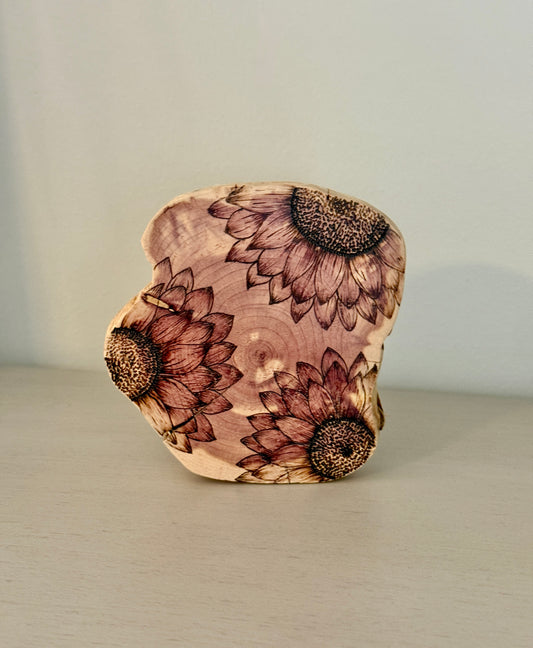 Vibrant Sunflower Round on Cedar Wood