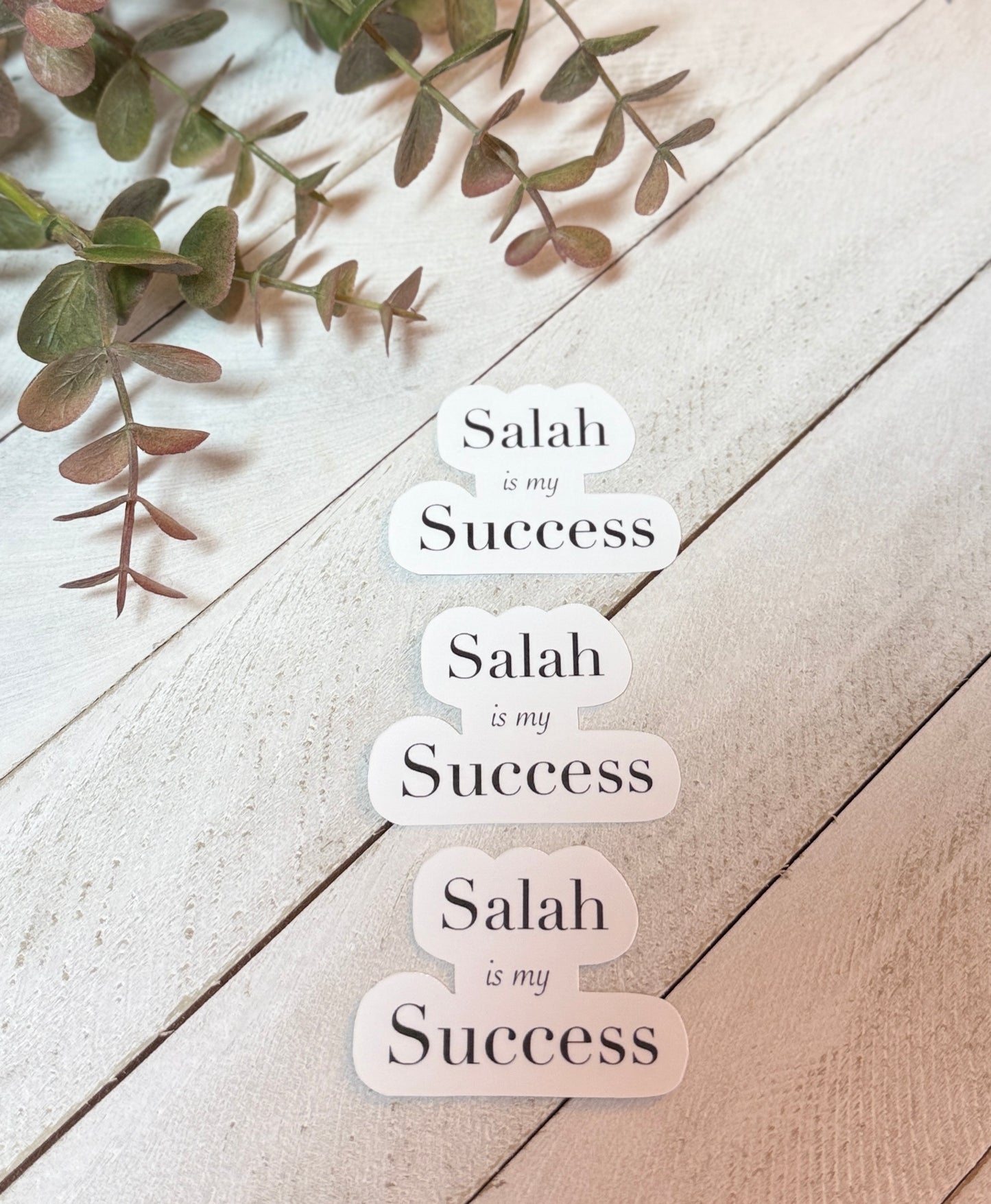 Text 'Salah is my Success' on a wooden surface with greenery